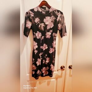 Dress sheer with attached lining